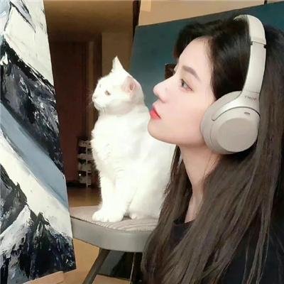 百胜铁骑军